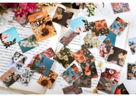 Bloemen foto's stickerdoosje