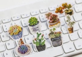 Succulent vetplant stickerdoosje