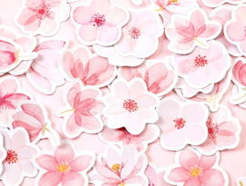 Sakura blaadjes en bloemen stickerdoosje