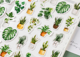 Groene planten stickerdoosje