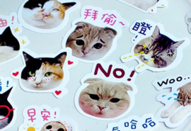 Katten en tekst stickerdoosje