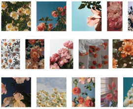 Bloemen foto's stickerdoosje