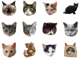 Katten stickerdoosje