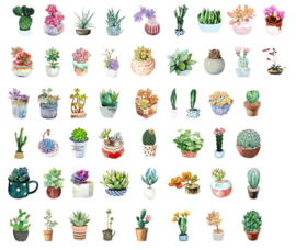 Succulent vetplant stickerdoosje