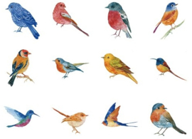 Vogels stickerdoosje