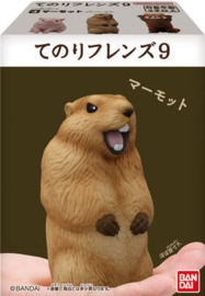 Kawaii dieren figuren marmot