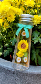 Rilakkuma Flower Bottle Re-Ment Sunflower terrarium