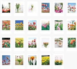 Tulpen stickerdoosje