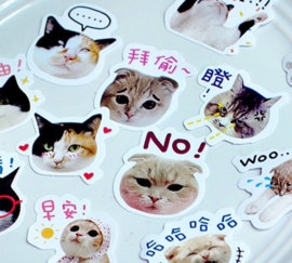 Katten en tekst stickerdoosje