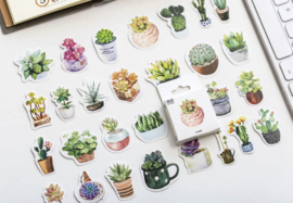 Succulent vetplant stickerdoosje