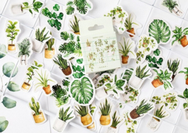 Groene planten stickerdoosje