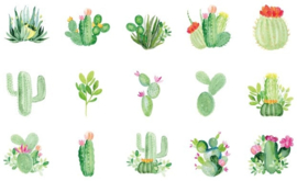Cactus stickerdoosje