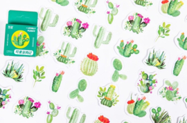 Cactus stickerdoosje