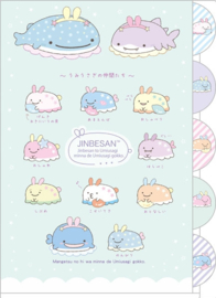 Jinbesan sea bunny  A4 insteekmap - 5 vakken