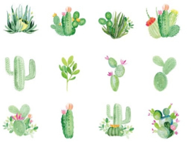 Cactus stickerdoosje