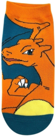 Pokémon Charizard sokken