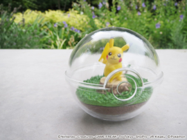 Pokémon Terrarium collectie 1 Pikachu