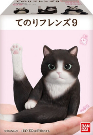 Kawaii dieren figuren wit kat