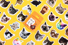 Katten stickerdoosje