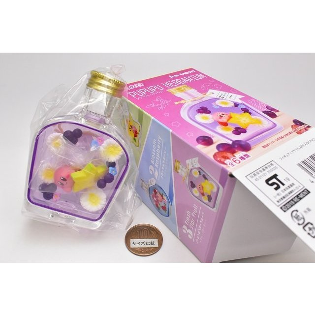 Kirby Pupupu Herbarium Collectie Twinkle Clover Kirby Terrarium Let S Go Kawaii