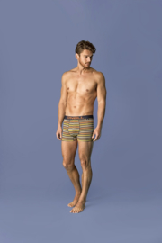 O'Neill Heren Boxershorts Stripes | 2-pack  maat M| 900642