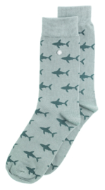 Alfredo Gonzales | Shark Attack Grey Socks XS 35-37
