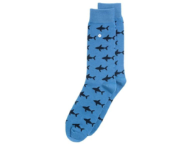 Alfredo Gonzales | Shark Attack Light Blue/Navy Socks XS 35-37