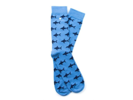Alfredo Gonzales | Shark Attack Light Blue/Navy Socks XS 35-37