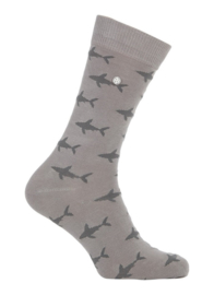 Alfredo Gonzales | Shark Attack Grey Socks XS 35-37