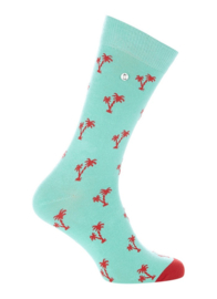 Alfredo Gonzales | Palm Springs Minty Fields Socks