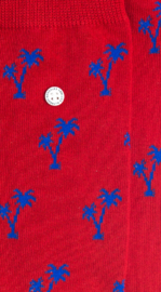 Alfredo Gonzales Palm Springs Reds Blue