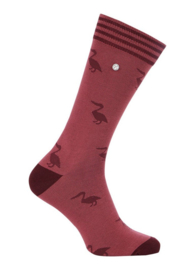 Alfredo Gonzales | Pelican Bordeaux Socks XS 35-37