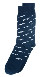 Alfredo Gonzales | The Birds Navy/Grey Socks