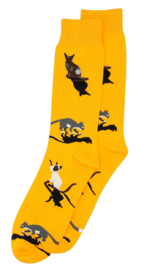 Alfredo Gonzales Socks Cat Orange