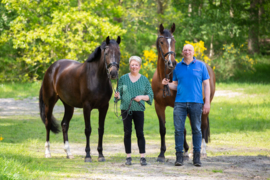 Knippen paardenhaar