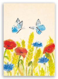 Vlinders en klaprozen