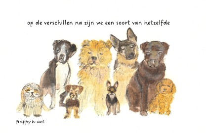 soort van hetzelfde