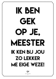 POSTER - IK BEN GEK OP JE, MEESTER