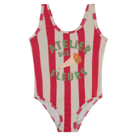 Stains & Stories Bathing Suit - Teaberry