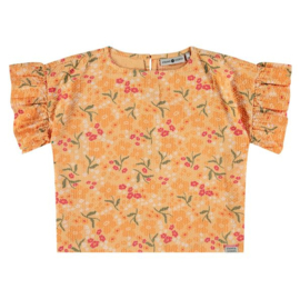 Stains & Stories Blouse - Cantaloupe
