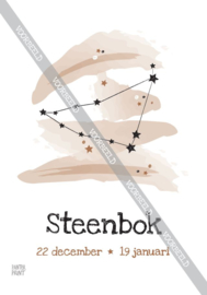 Steenbok poster
