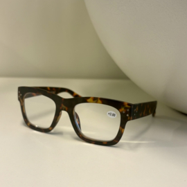 Leesbril GAVA Mat Schildpadprint