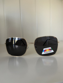 Zonnebrillen 2509 polarized