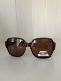 Overzet zonnebril groot polarized 2050