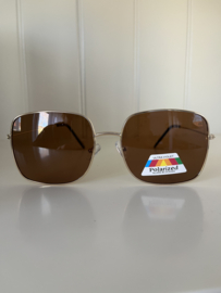 Zonnebrillen 2509 polarized