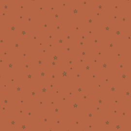 Blokzakjes sterren terra - 5 stuks (12*7*19cm)