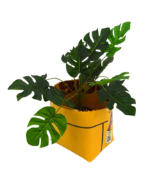 Bloempot Ø 18 cm - Vierdaagsefeesten