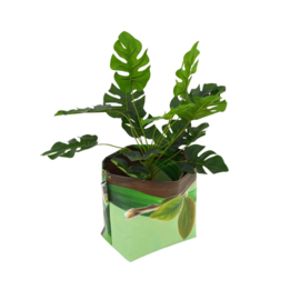 Bloempot Ø 18 cm.