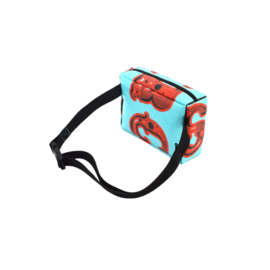 Fannypack / heuptas