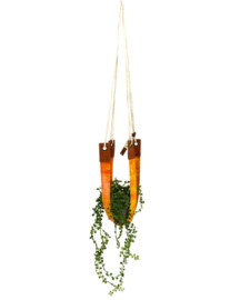 Plantenhanger - Matrixx